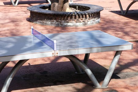 Outdoor-Tischtennisplatte in sonniger Parklage, bereit für ein Spiel