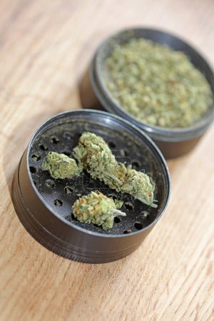 Weed black grinder close up macro medical marihuana instant stock photos images and backgrounds high quality big size printings
