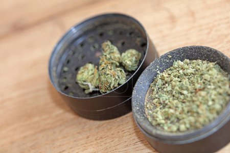 Weed black grinder close up macro medical marihuana instant stock photos images and backgrounds high quality big size printings