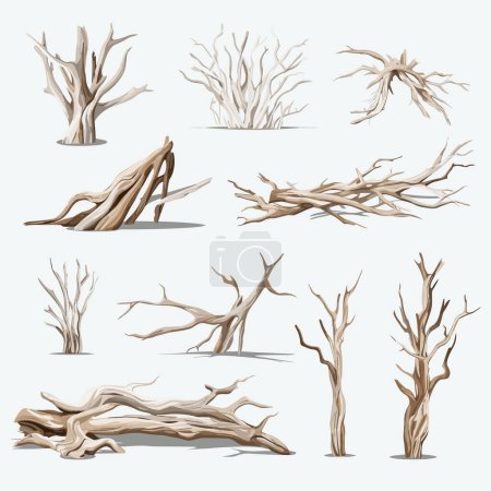 Illustration for Driftwood vector set isolated on white - Royalty Free Image