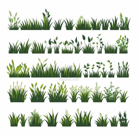 Ilustración de Campo vegetación vector conjunto aislado en blanco - Imagen libre de derechos
