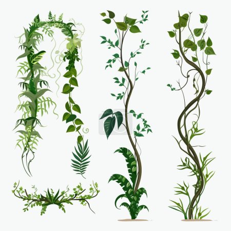 Ilustración de Viñas tropicales vegetación vector conjunto aislado en blanco - Imagen libre de derechos