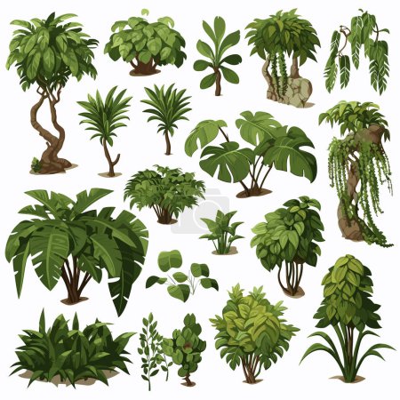 Jungle vegetation set isometric vector flat isolated illustration