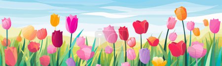 Téléchargez les illustrations : Dynamique champ de tulipes aux Pays-Bas vecteur illustration isolée - en licence libre de droit