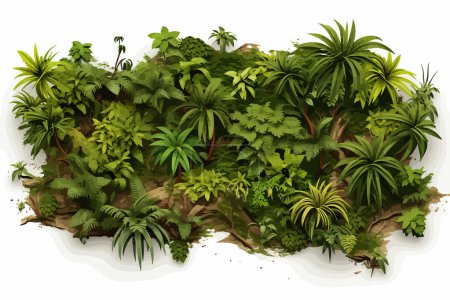jungle top view air photo vector flat isolated illustration