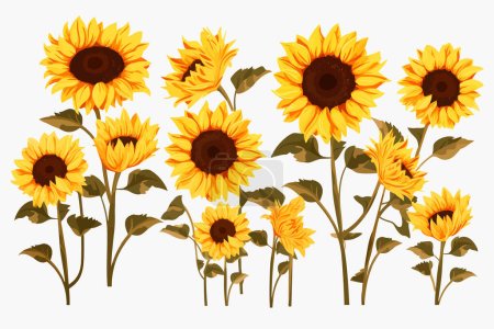 Illustration for Sunflowers vector flat minimalistic isolated vector style illustration - Royalty Free Image