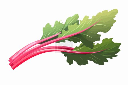 rhubarb vector flat minimalistic isolated vector style illustration