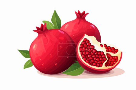Ripe pomegranate vector flat minimalistic isolated vector style illustration