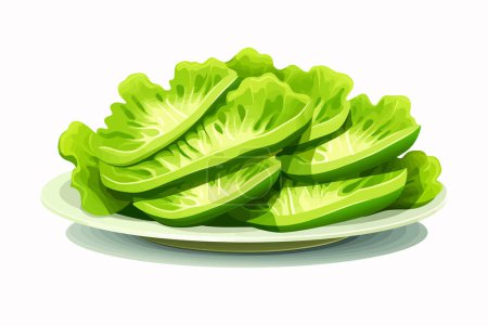 slices of Lettuce on plate vector flat isolated vector style illustration