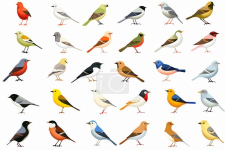 Ilustración de Colección de las aves más comunes de EE.UU. aisladas ilustración de estilo vectorial - Imagen libre de derechos