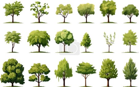 field trees set isolated vector style illustration