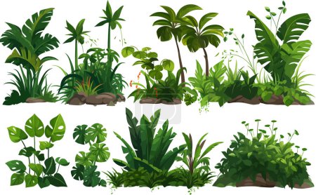 Téléchargez les illustrations : Jungle végétation ensemble isolé vecteur style illustration - en licence libre de droit