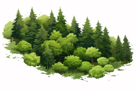 Top view aerial shot of forest isolated vector style illustration