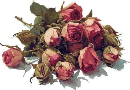 Illustration for Dried rosebuds isolated vector style - Royalty Free Image