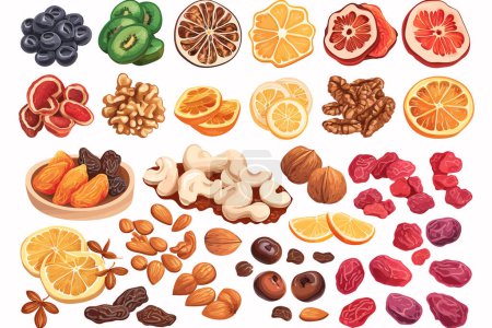 Téléchargez les illustrations : Fruits secs et noix ensemble style vectoriel isolé - en licence libre de droit