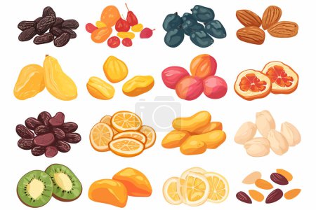 Illustration for Dried fruits and nuts set isolated vector style - Royalty Free Image