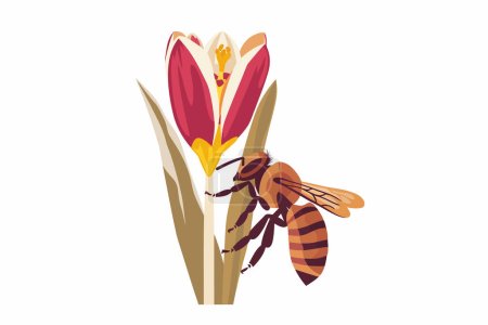 Illustration for Bee Pollinating Early Spring Flower isolated vector style - Royalty Free Image