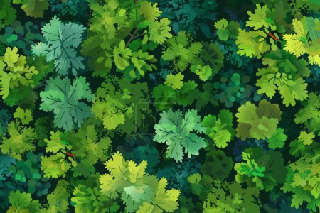 top view aerial shot of forest isolated vector style