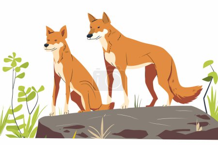 Illustration for Dingos on a rock isolated vector style - Royalty Free Image