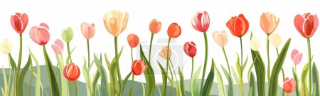 Illustration for Tulip field isolated vector style - Royalty Free Image