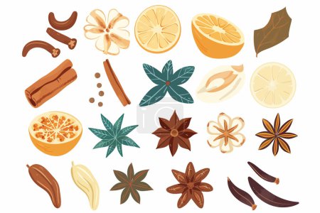 Illustration for Exotic spice collection isolated vector style - Royalty Free Image