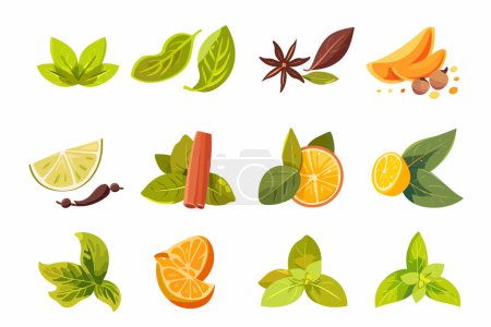 Illustration for Exotic spice collection isolated vector style - Royalty Free Image