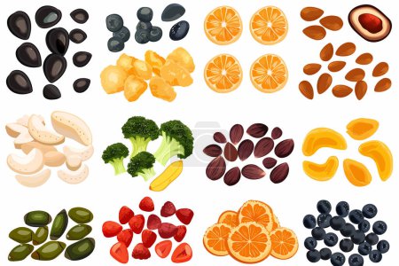 Medley of dried superfoods isolated vector style
