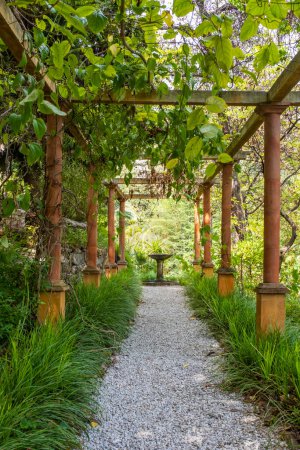 Téléchargez les photos : Menton, France - 2 mai 2022 : Une pergola au jardin botanique du Val Rhameh. Pris un jour de printemps ensoleillé sans personne - en image libre de droit