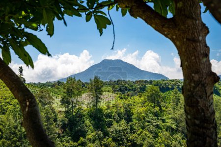 Foto de Trees framing a view on a sleeping volcano, Berastagi, Indonesia. Taken on a sunny day with no people. - Imagen libre de derechos
