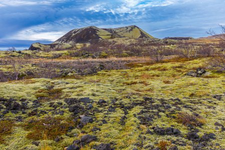 Foto de Autumn inland landscape overgrown with mosses and lichens, western Iceland - Imagen libre de derechos