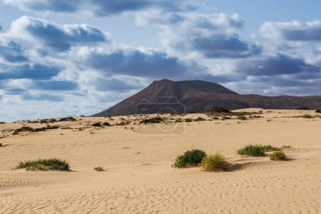 Photo for Sand dunes in the Parque Natural de Corralejo on the island of Fuerteventura in the Canary Islands - Royalty Free Image