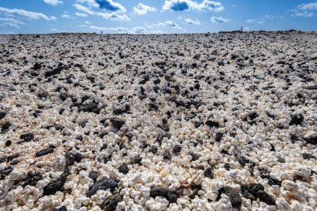 Popcorn beach near Corralejo on the island of Fuerteventura in the Canary Islands