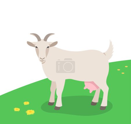 Illustration for Horned female goat standing on the green grass. Domestic farm animal grazing on a spring pasture. Flat cartoon illustration. Spring meadow background - Royalty Free Image