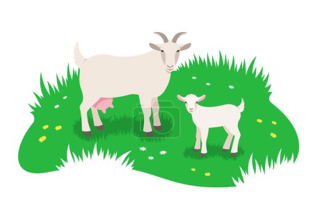 Illustration for White goat and her little kid grazing in green meadow. Simple flat vector illustration - Royalty Free Image