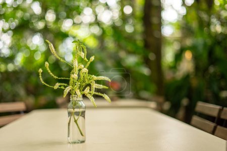 Un ramo de Aloysia virgata elegantemente arreglado en un jarrón de vidrio se erige como una pieza central, su belleza acentuada sobre un fondo suavemente borroso.