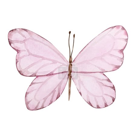 Téléchargez les photos : Papillon aquarelle rose pour la conception d'invitations et de cartes - en image libre de droit