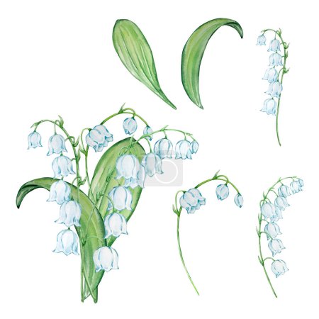 Watercolor bouquet lily of the valley, may birth month flower, design for prints and cards