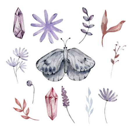 Aquarelle animaux, ensemble floral et cristaux, illustration