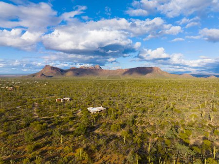 Téléchargez les photos : Panther Peak et Safford Peak vue aérienne avec paysage du désert de Sonoran dans le district de Tucson Mountain dans le parc national de Saguaro dans la ville de Tucson, Arizona AZ, États-Unis. - en image libre de droit
