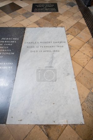Photo for Charles Robert Darwin tomb in Westminster Abbey. The church is World Heritage Site located next to Palace of Westminster in city of Westminster in London, UK. - Royalty Free Image