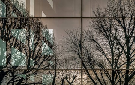 Téléchargez les photos : Mur vitré d'un bâtiment avec reflet de branches d'arbres nus dans des fenêtres en miroir. Reflet des branches d'arbres nus dans les fenêtres d'un bâtiment moderne, foyer sélectif. - en image libre de droit