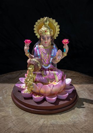 Foto de Hindu cosmos Maha laxshmi statue decorated with Flower Garland on black background. Statue of Goddess of Wealth, Copy space, Selective focus. - Imagen libre de derechos