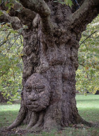 Photo for London,UK - Oct 23,2023 - The giant grandfather tree at Acton public park. The tree looks like human's face, Trunk and big tree roots spreading out, The concept of care and environmental protection. Nature background, Space for text, Selective focus. - Royalty Free Image