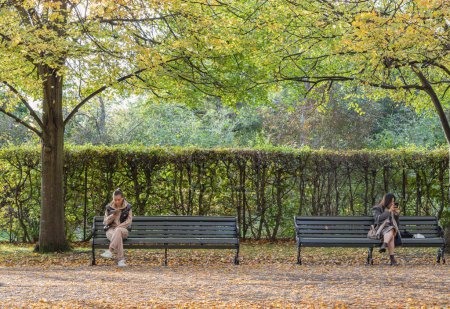 Téléchargez les photos : Londres, Royaume-Uni - 05 nov. 2023 - Deux jeunes femmes sont assises sur les bancs du parc d'automne. Elle se repose dans la journée chaude ensoleillée et à l'aide d'un smartphone, en regardant l'écran, concept Lifestyle. Espace pour le texte. - en image libre de droit