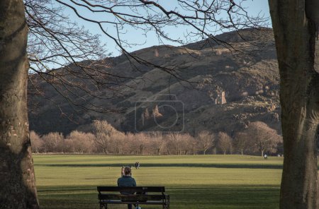 Téléchargez les photos : Édimbourg, Écosse - 17 janv.2024 - Une jeune femme se repose sur un banc à l'ombre d'un arbre dans un parc verdoyant sous le soleil. Concept Lifestyle, Espace texte, Focus sélectif. - en image libre de droit