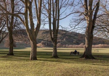 Téléchargez les photos : Édimbourg, Écosse - 17 janv.2024 - Une jeune femme se repose sur un banc à l'ombre d'un arbre dans un parc verdoyant sous le soleil. Concept Lifestyle, Espace texte, Focus sélectif. - en image libre de droit