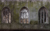 London, UK - Feb 27, 2024 - The ancient ruins church windows taken over by ivy growth of St Dunstan in the East Church Garden. The historic church was bombed and destroyed in the Second World War and is now a park, London city hidden places, Space fo t-shirt #707708042
