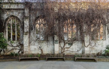 Photo for London, UK - Feb 27, 2024 - The ancient ruins architecture of St Dunstan in the East Church Garden in the City of London. The historic church was bombed and destroyed in the Second World War and is now a park, Serene urban retreat in London's heart, - Royalty Free Image