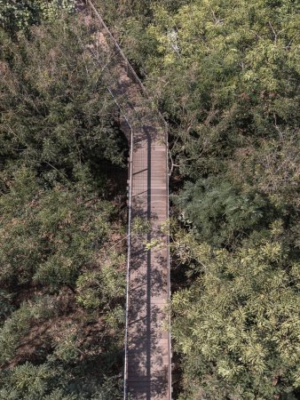 Luftaufnahme einer schönen hölzernen Hängebrücke mitten im Wald, umgeben von sattgrünem Wald an einem sonnigen Morgen. Sonnenlicht durch die Blätter, Holzbrücke über den tropischen Waldökopark, Naturschönheit. Raum für Text
