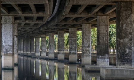 Bangkok, Thailand - Apr 20, 2024 - Perspective view of concrete pillars under Khlong Toei Expressway, with calm surface water reflection wonderful shadow, shape, lines and curve the underside support beams of the road along the Khlong phra khanong ca